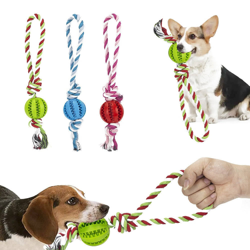 Dog Interactive Rope Ball Toys