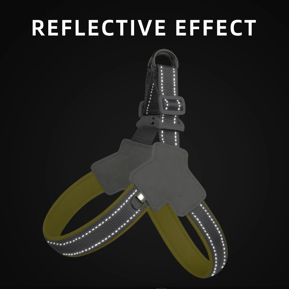 Easy Install Reflective Harness - Blue