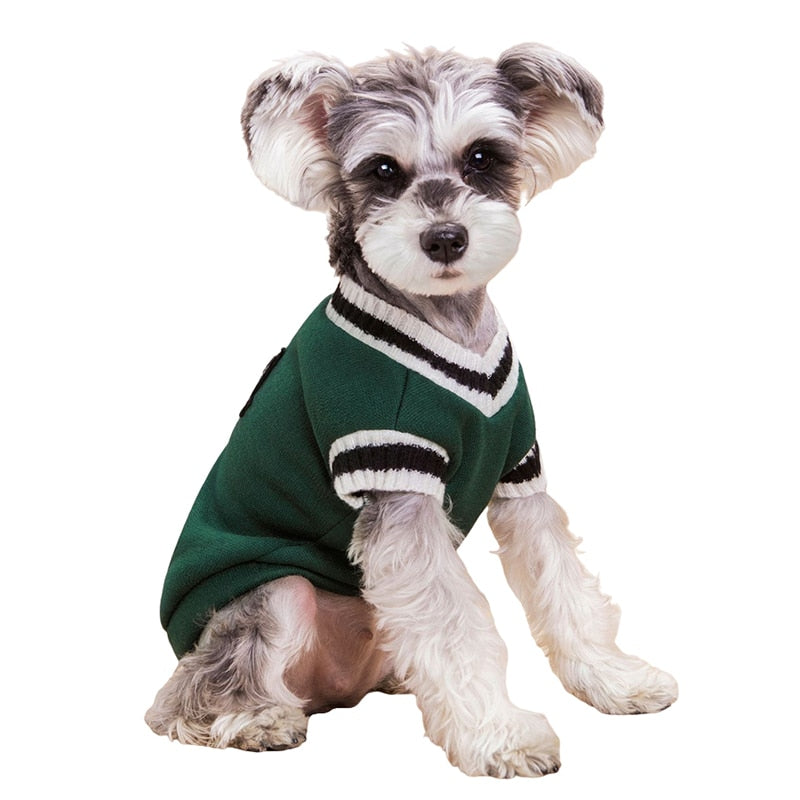 College Styled Sweater Small/Medium