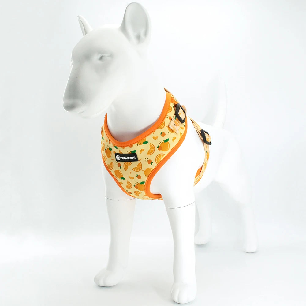 Adjustable Neck Harness - Oranges