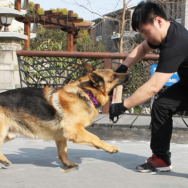 Dog Interactive Training Tug Toy