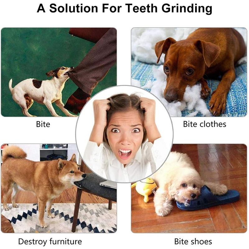 Treat Dispensing Dog Ball