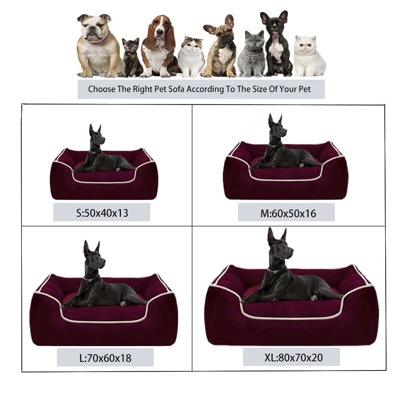 Luxury Comfort Bed - hugostreats