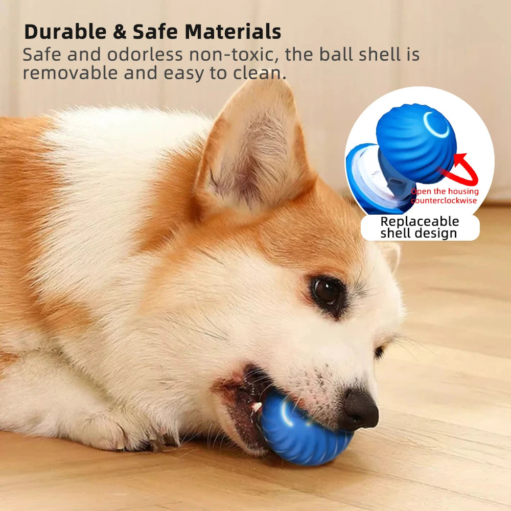 Smart interactive Doggie Ball