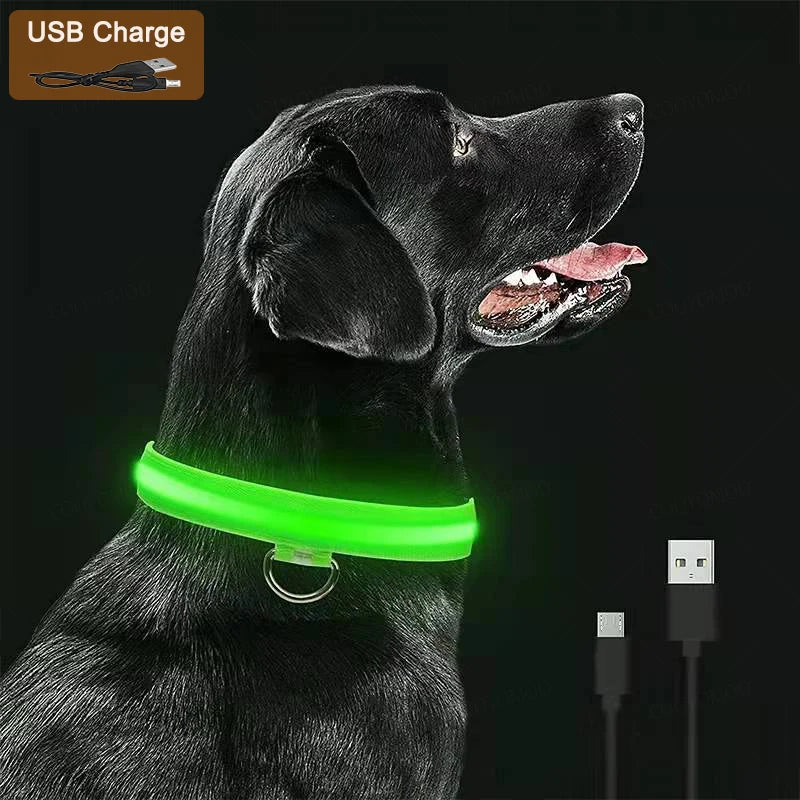 Re-chargeable LED Dog Collar - Green