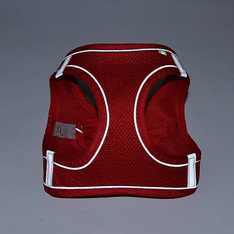 Red Reflective Small Dog Cute Harness and Lead