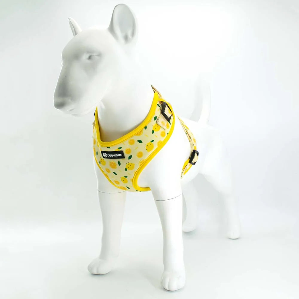 Adjustable Neck Harness - Lemons