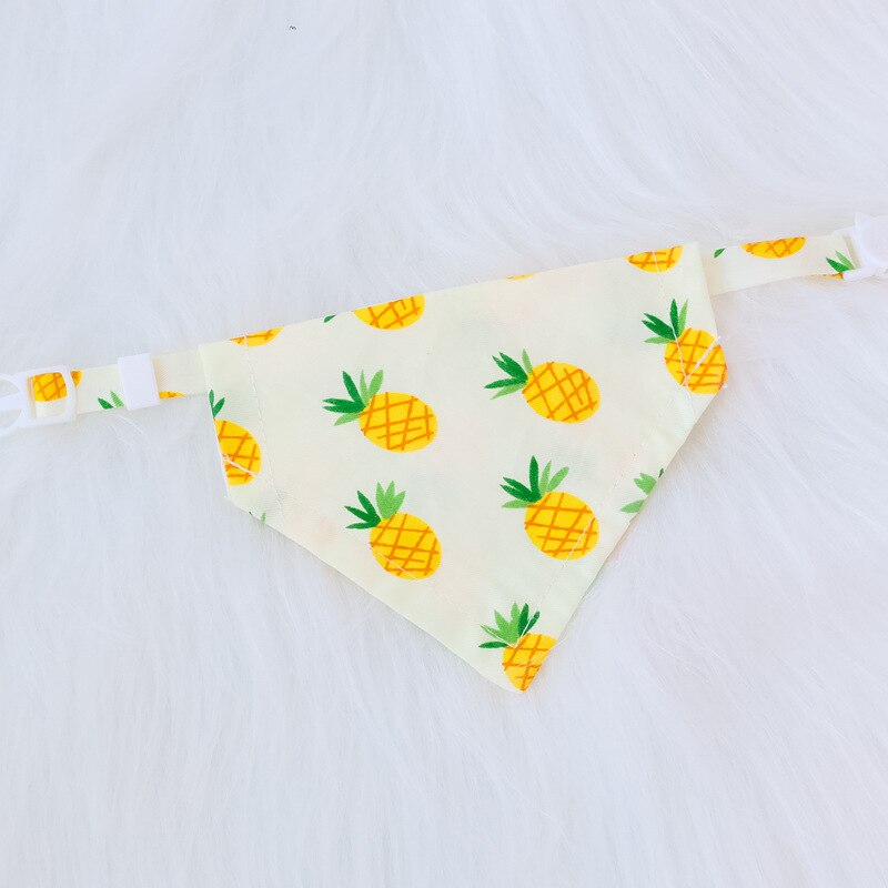 Fruit Bandana Accessories - hugostreats