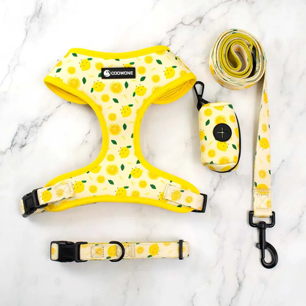 Adjustable Neck Harness - Lemons