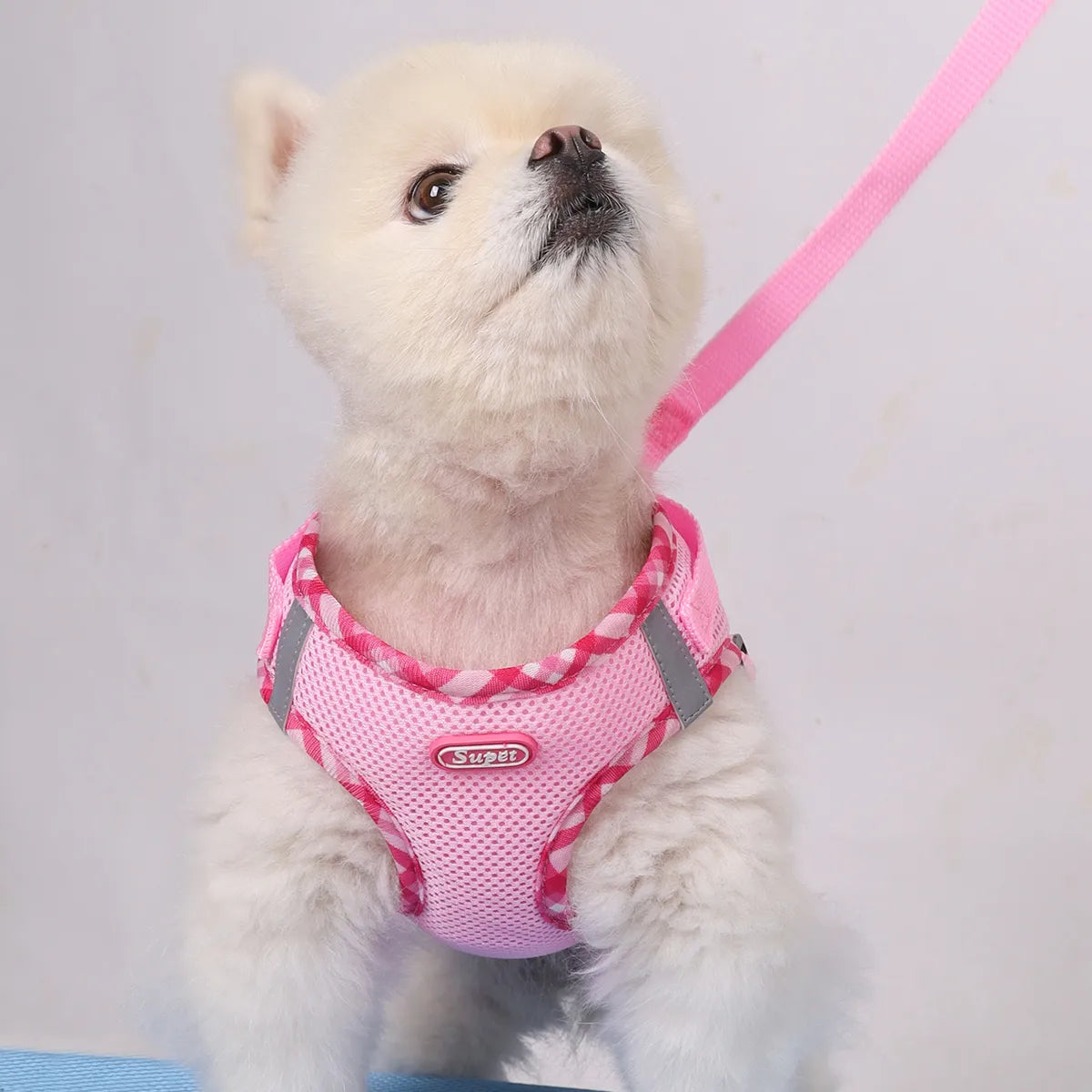 Super Cute Full Control Harness Small/Medium