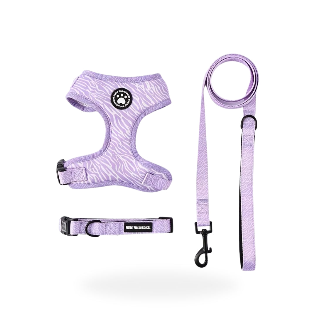 Purple Zebra Set