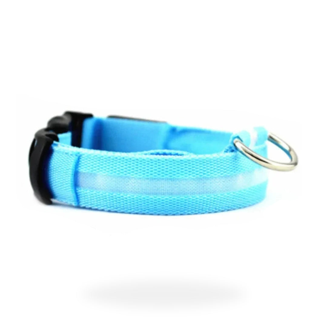Re-chargeable LED Dog Collar - Blue