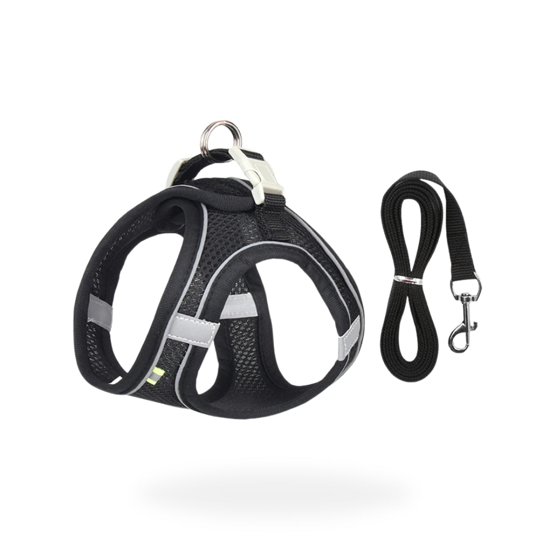 Black Reflective Small Dog Cute Harness and Lead