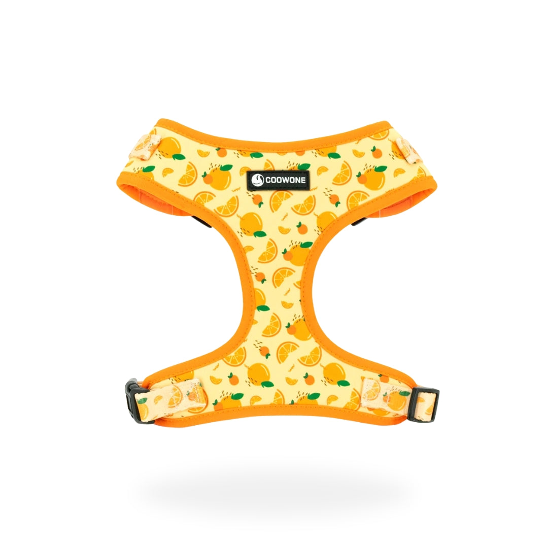 Adjustable Neck Harness - Oranges