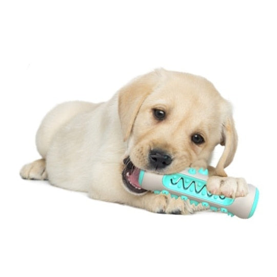 Dental chew Teeth Cleaning Toy