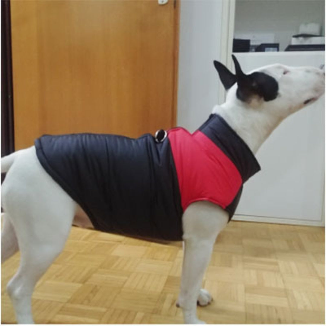 Premium Padded Coat - Red