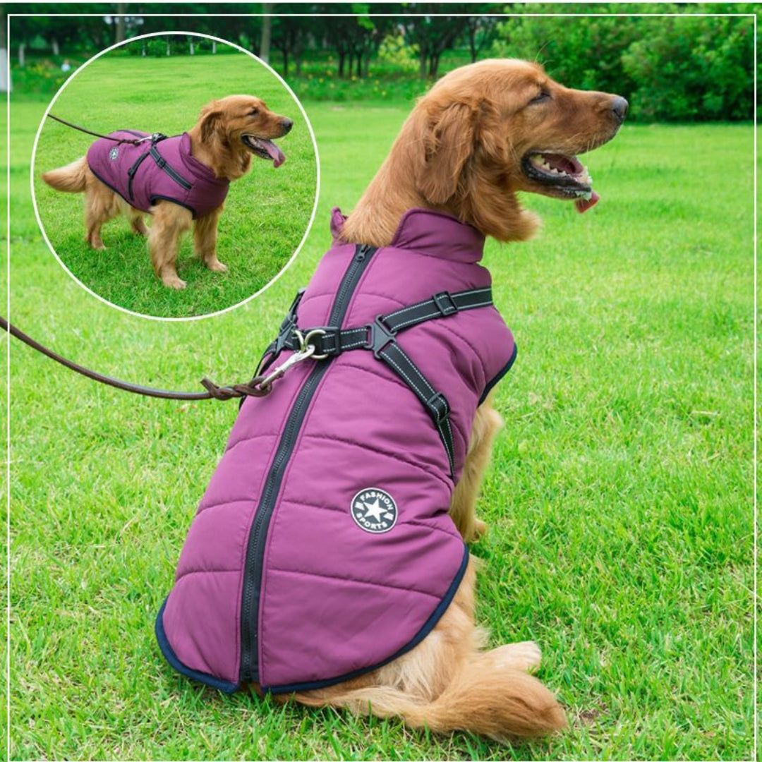 Dog Coat With Built In Harness - Purple