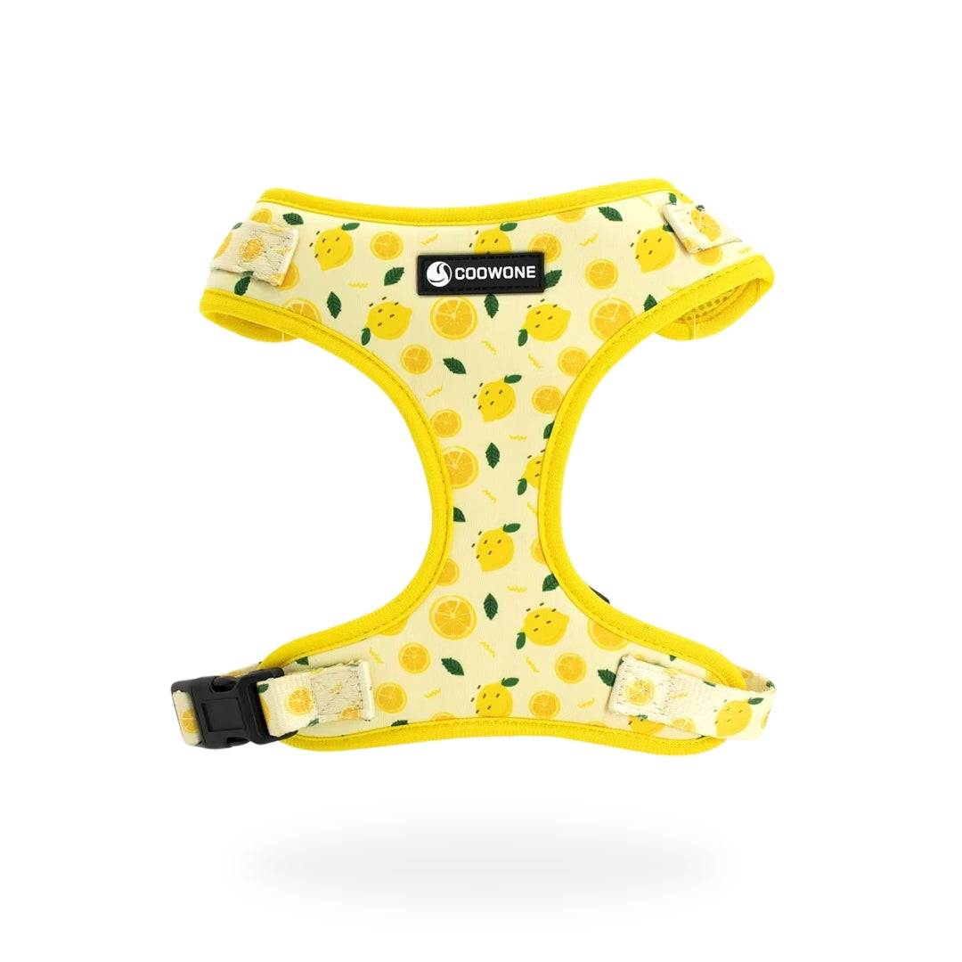 Adjustable Neck Harness - Lemons