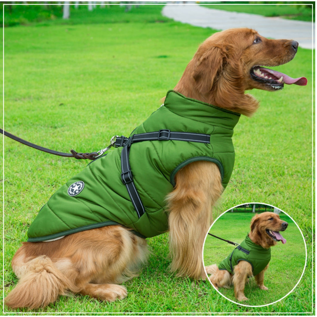 Dog Coat With Built In Harness - Green