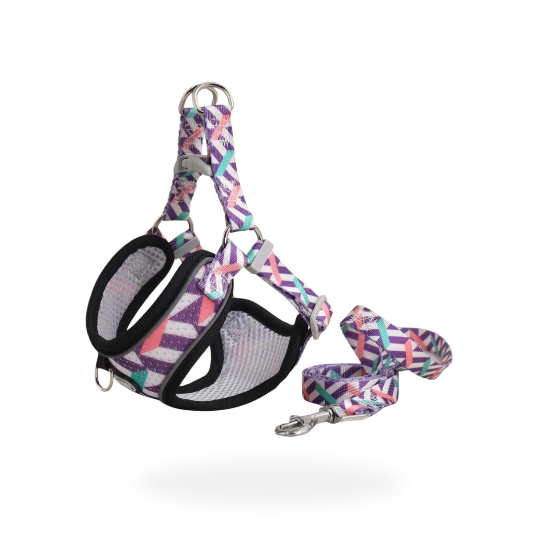 Full Control Harness + Leash - Purple