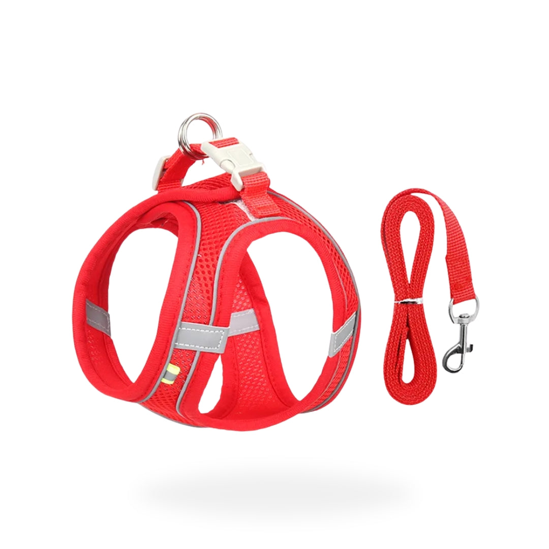 Red Reflective Small Dog Cute Harness and Lead