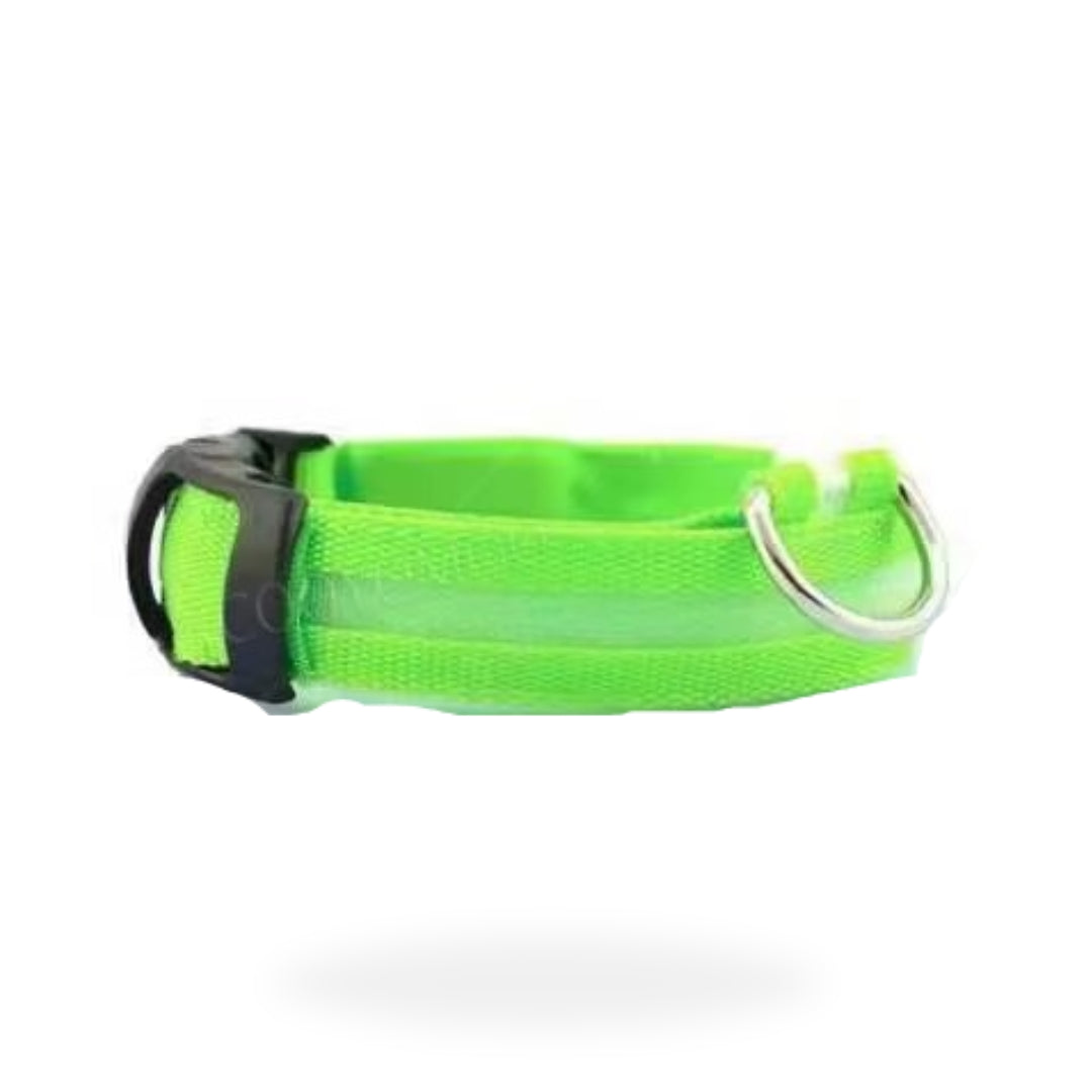 Re-chargeable LED Dog Collar - Green