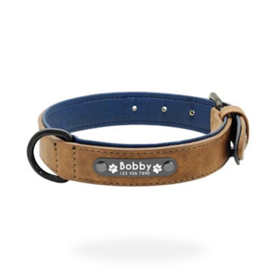 Personalised Collar & Leash Set - Coffee