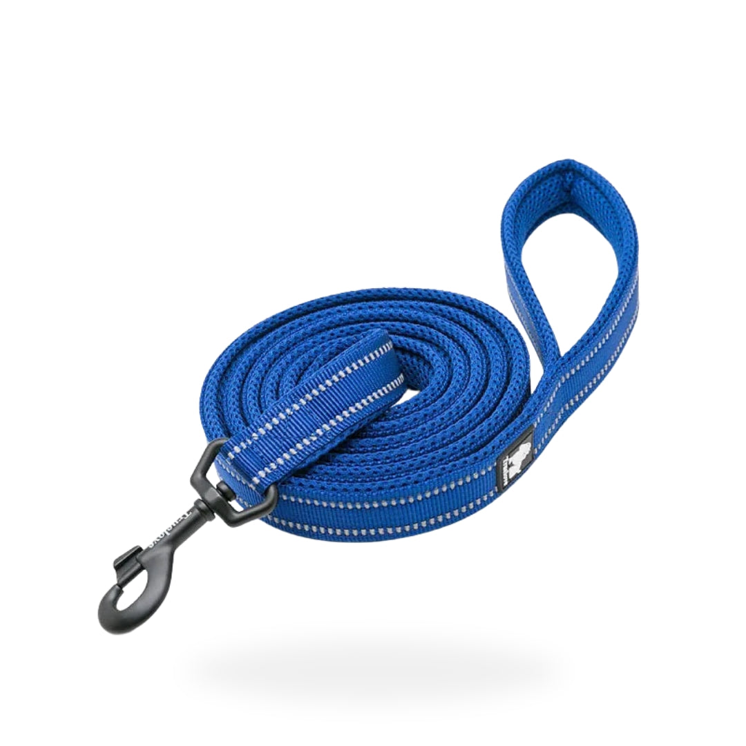 3M Dog Reflective Leash - Blue