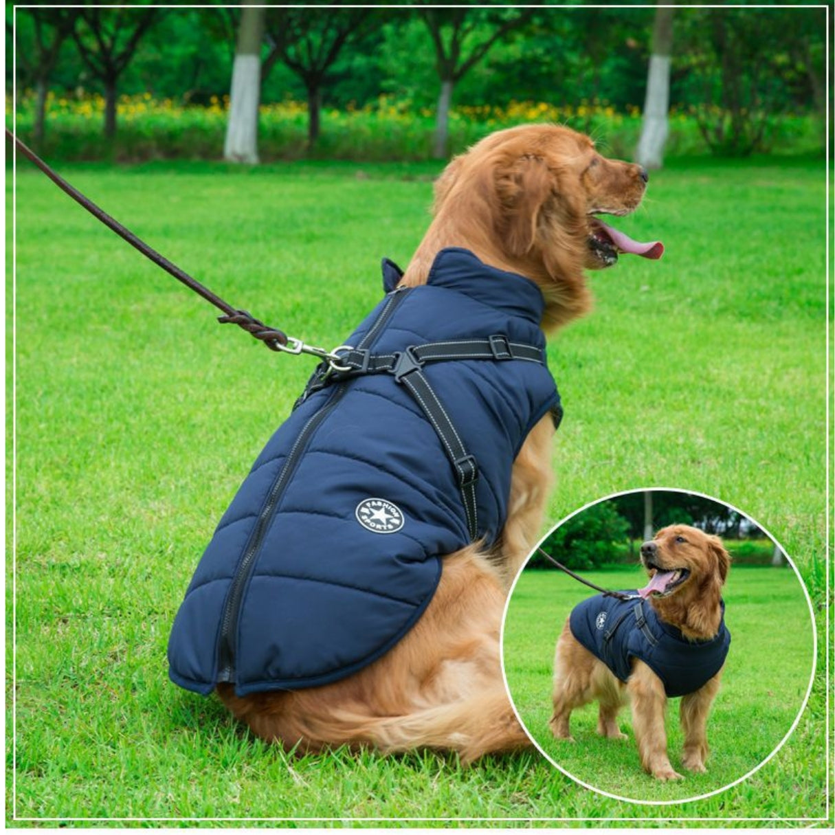 Dog Coat With Built In Harness - Navy