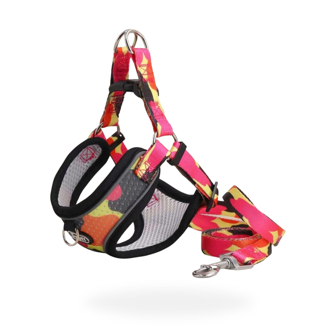 Full Control Harness + Leash - Black