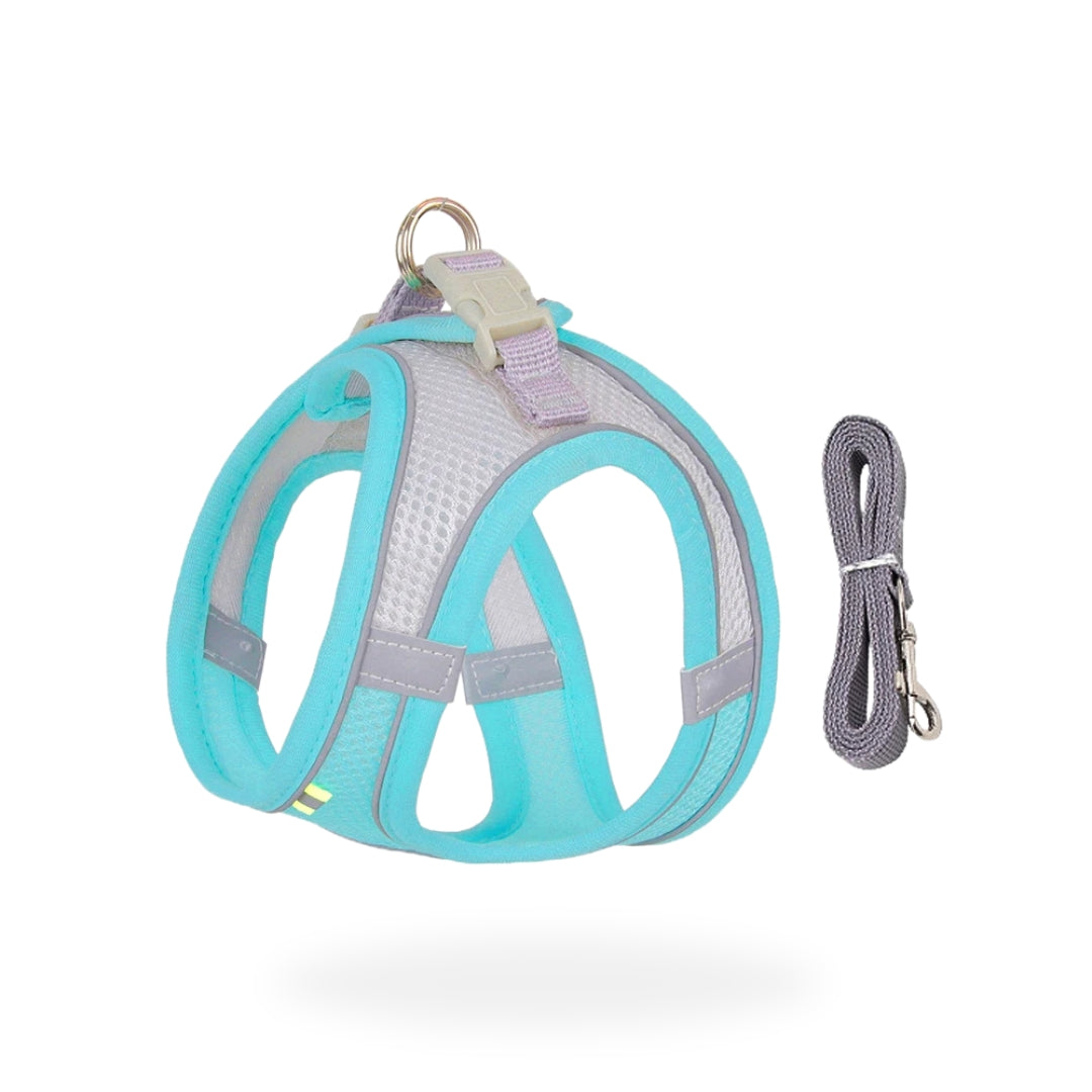 Blue Reflective Small Dog Cute Harness + Lead