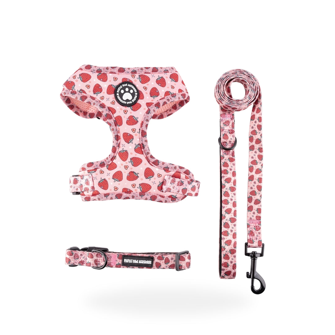 Red Strawberry Set
