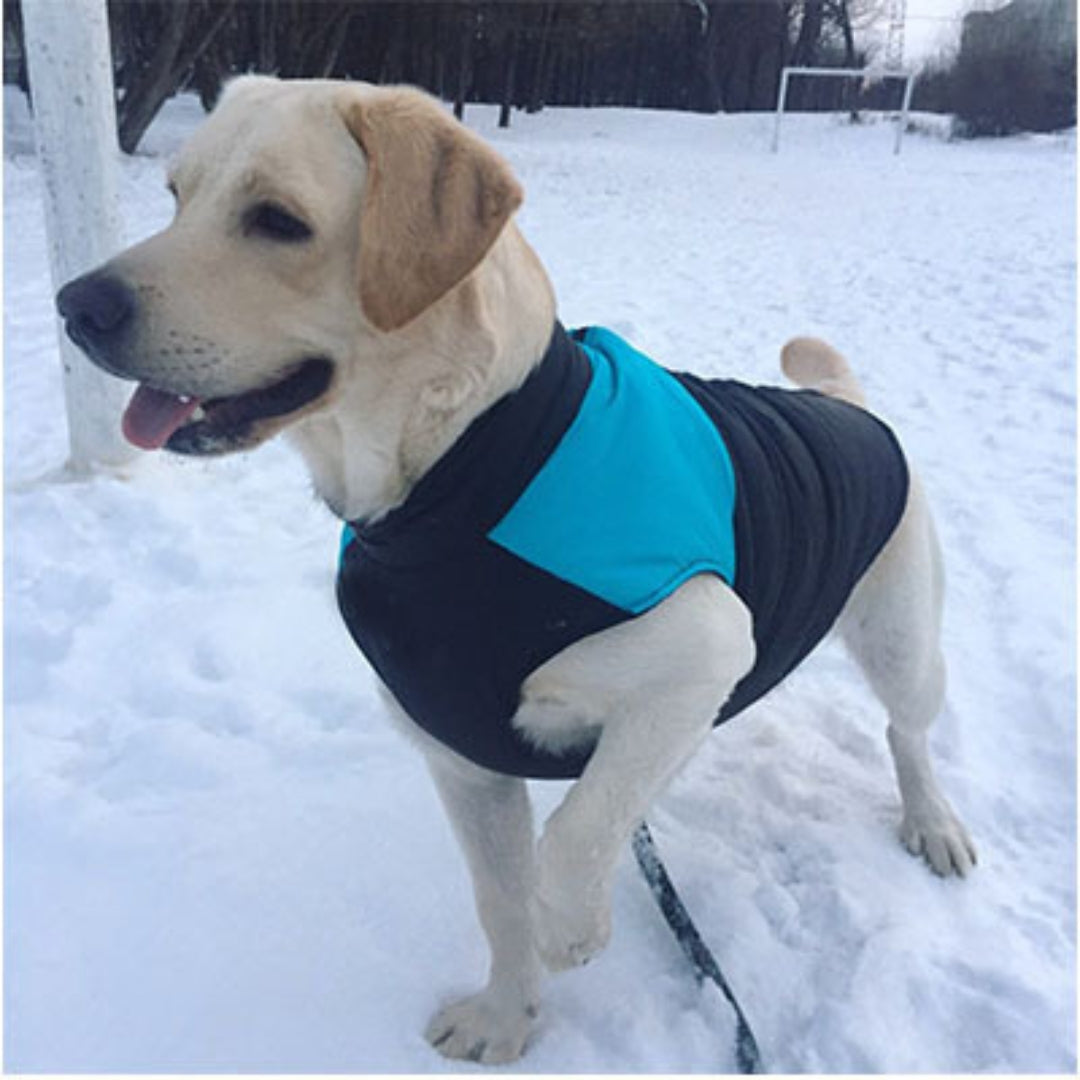 Premium Padded Coat - Blue