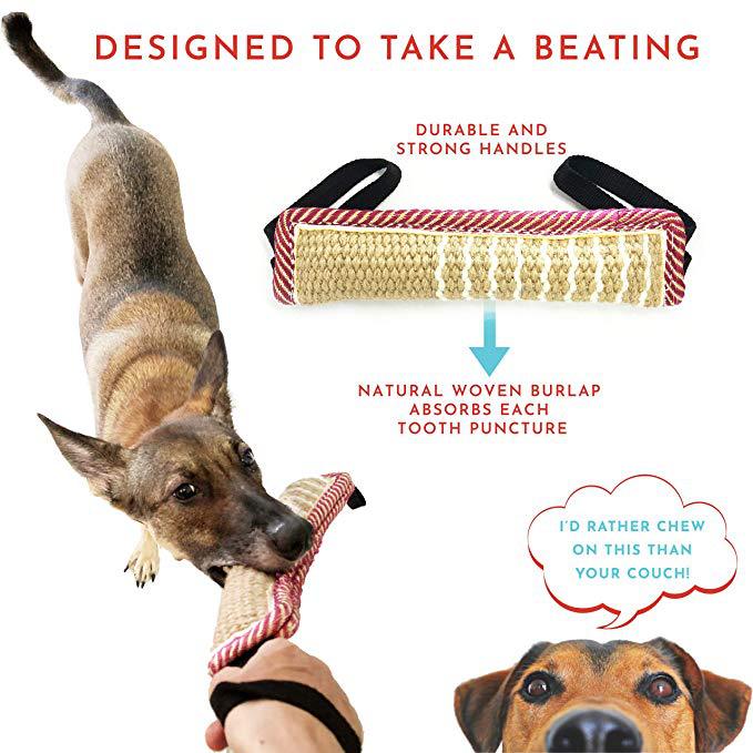 Dog Interactive Training Tug Toy
