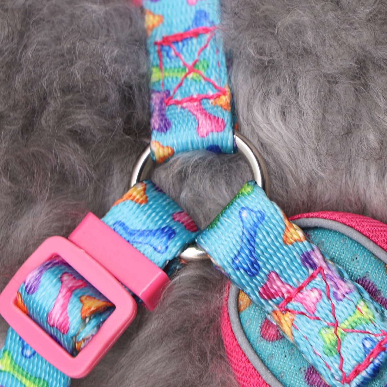 Full Control Harness + Leash - Rose Red