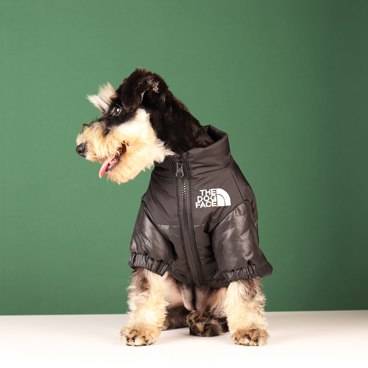 Premium Puffer Coat - Black
