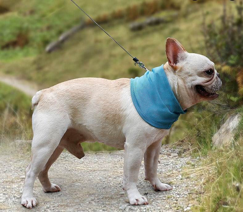 Summer Instant Cooling Scarf - hugostreats