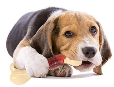 Beef Flavoured Dog Toy Bone