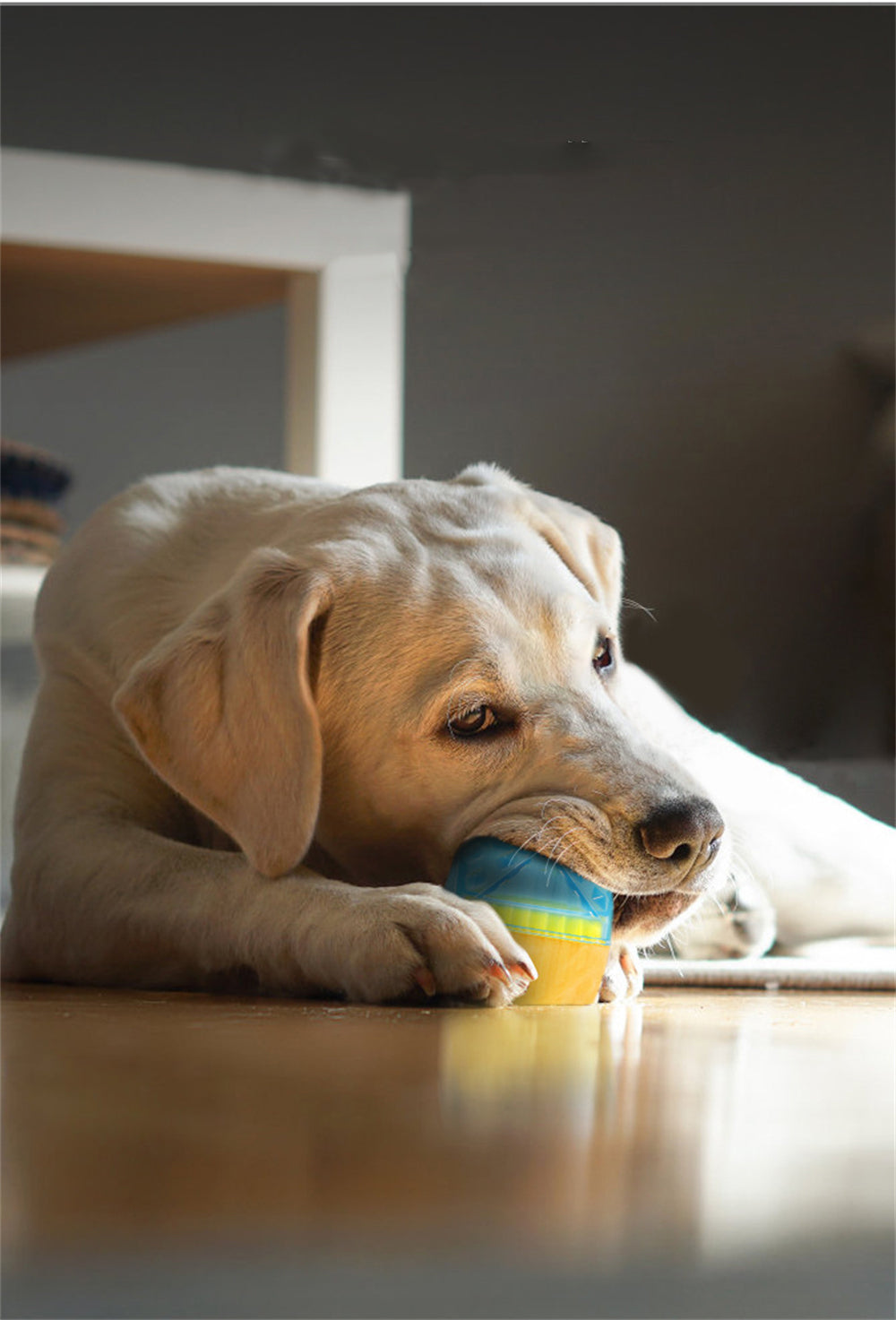 Water Cooling Toy Fruits - hugostreats