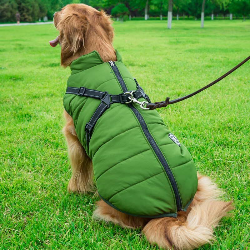 Dog Coat With Built In Harness - Green