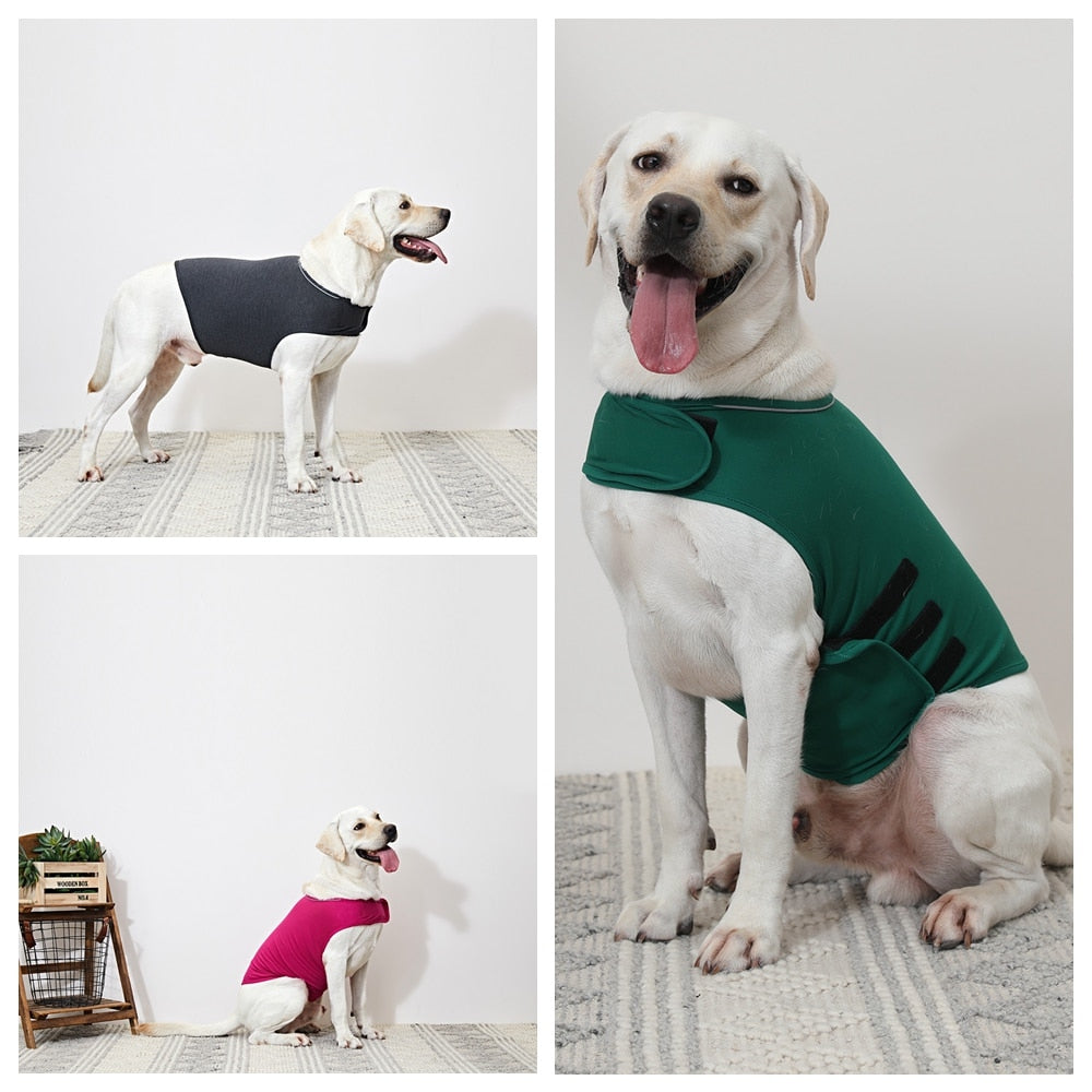 Firework/thunder Anxiety Vest - hugostreats