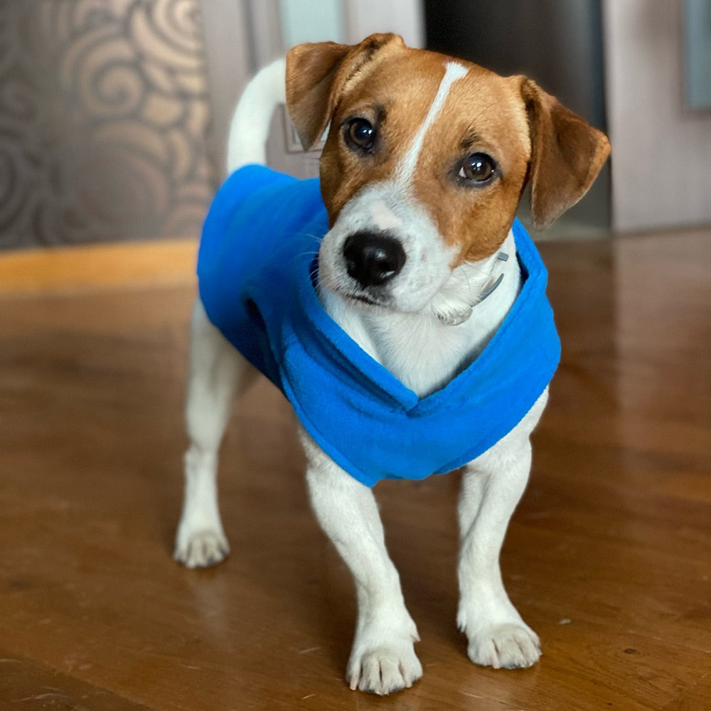 Small Dog/Puppy Fleece Vest - hugostreats