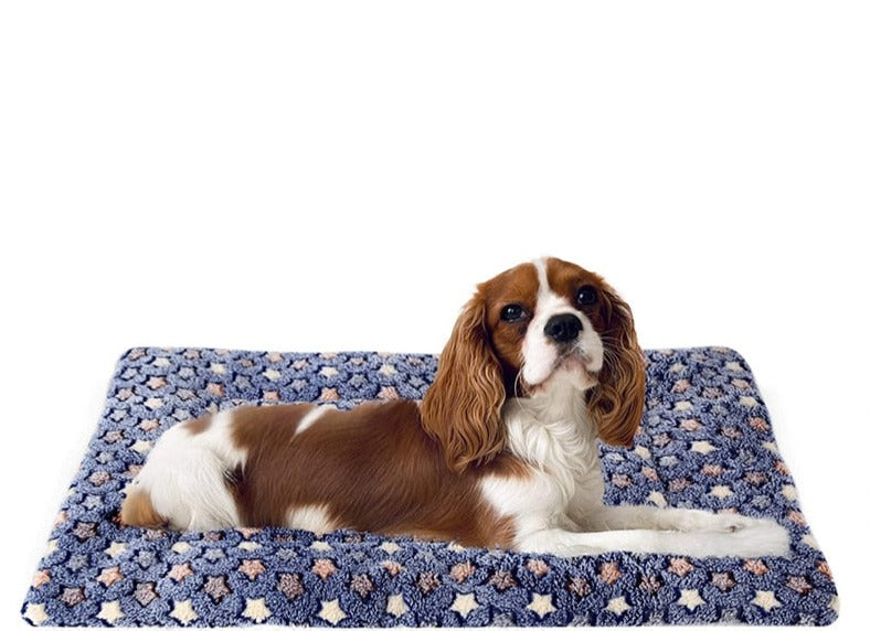 Relaxing Anxiety Mattress - hugostreats