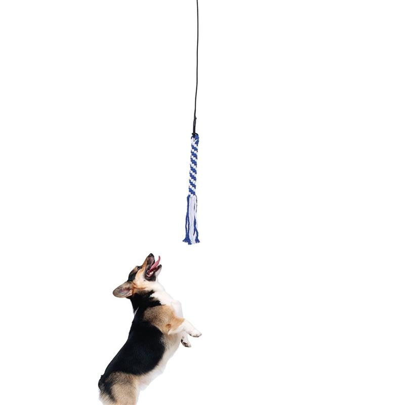 Play training extendable pole - hugostreats