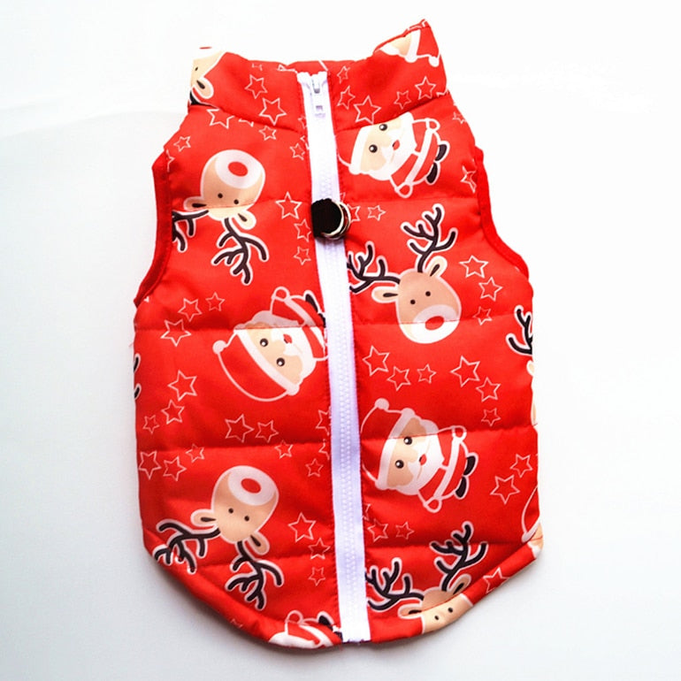 Warm Small/Puppy Dog Coat - hugostreats