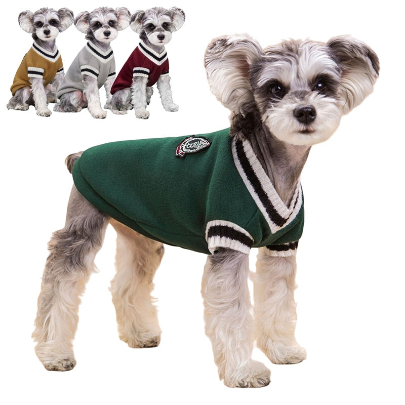 College Styled Sweater Small/Medium
