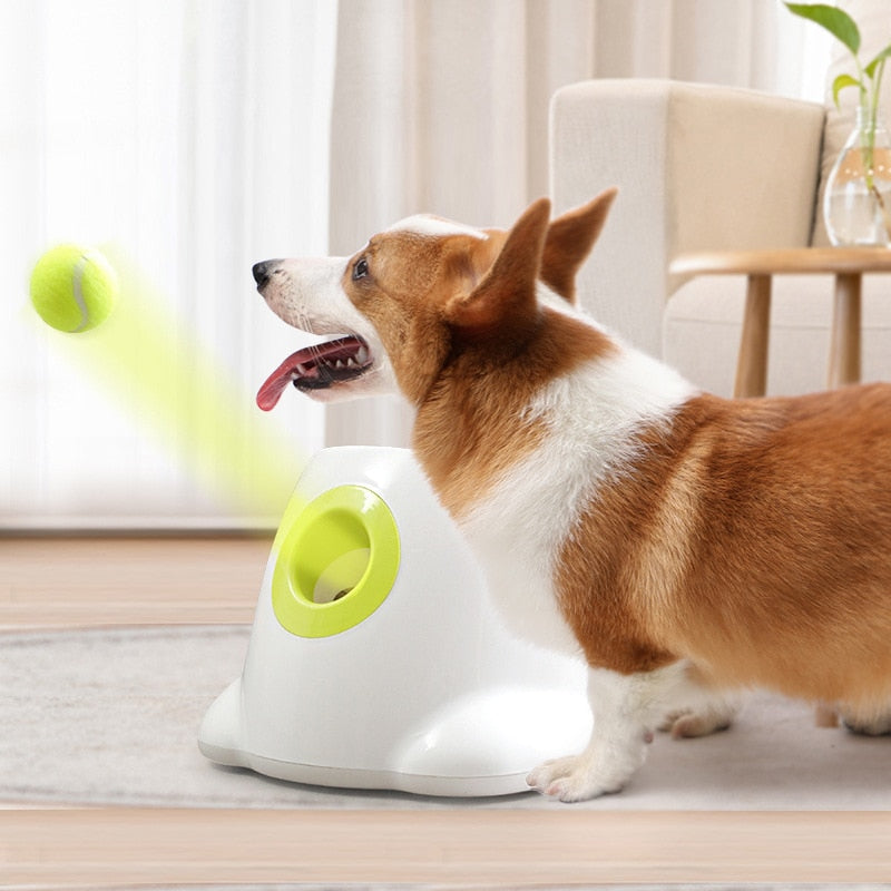 Automatic Tennis Ball Launcher - hugostreats