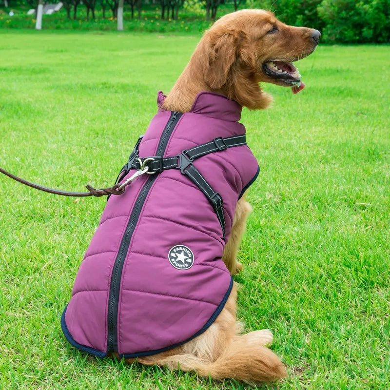 Trail Coat with built in Harness - Purple