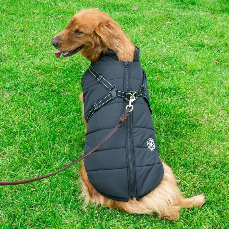 Trail Coat with built in Harness - Navy Blue