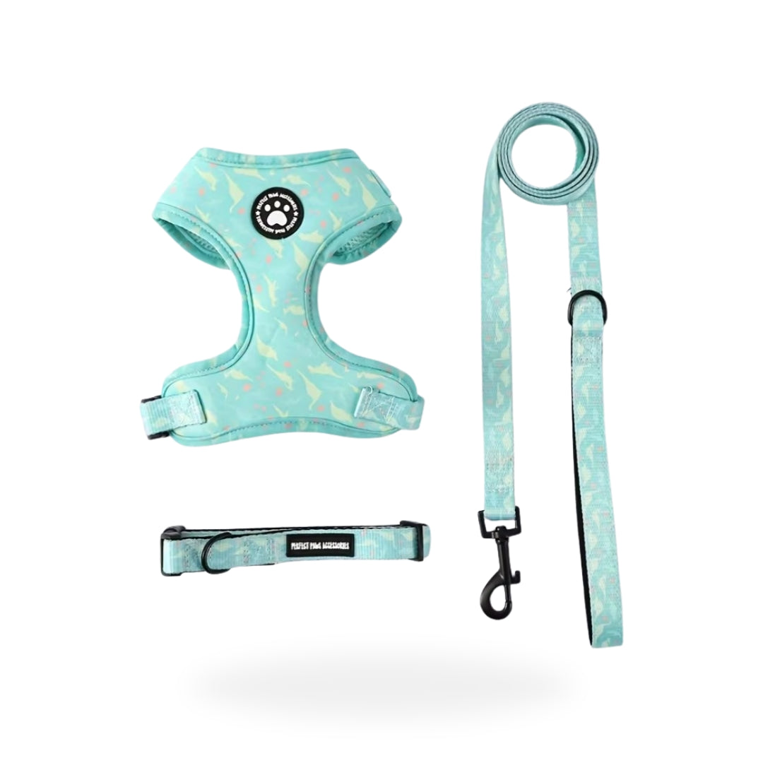 Turquoise Dinosaur Set
